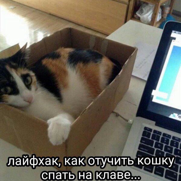 Юмор про игры, компьютеры, геймеров, ITшников и программистов