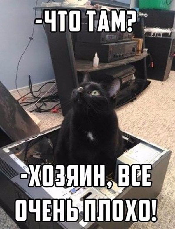 Юмор про игры, компьютеры, геймеров, ITшников и программистов