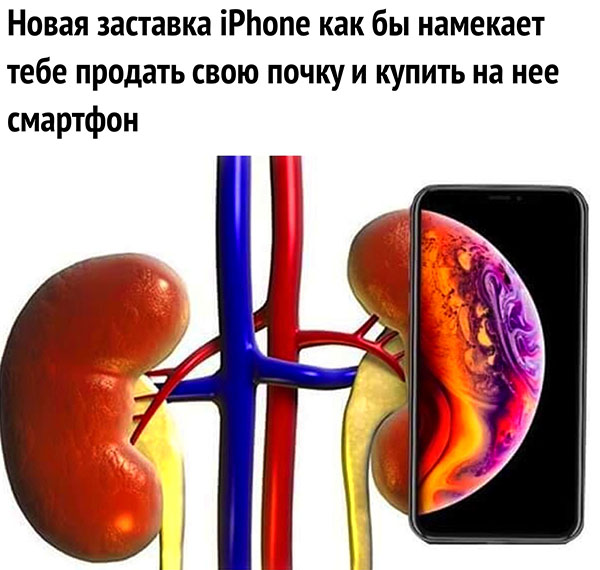 Юмор про игры, компьютеры, геймеров, ITшников и программистов