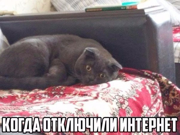 Юмор про игры, компьютеры, геймеров, ITшников и программистов