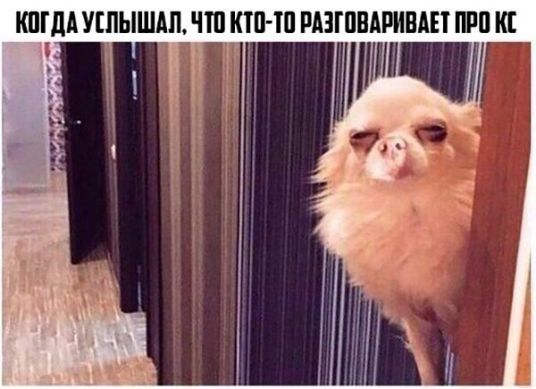 Юмор про игры, компьютеры, геймеров, ITшников и программистов