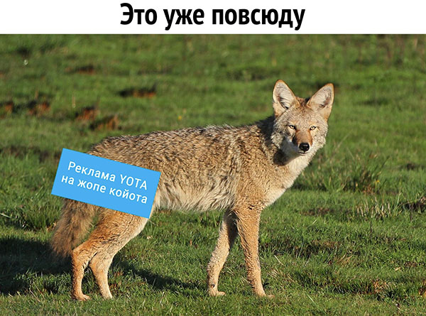 Юмор про игры, компьютеры, геймеров, ITшников и программистов