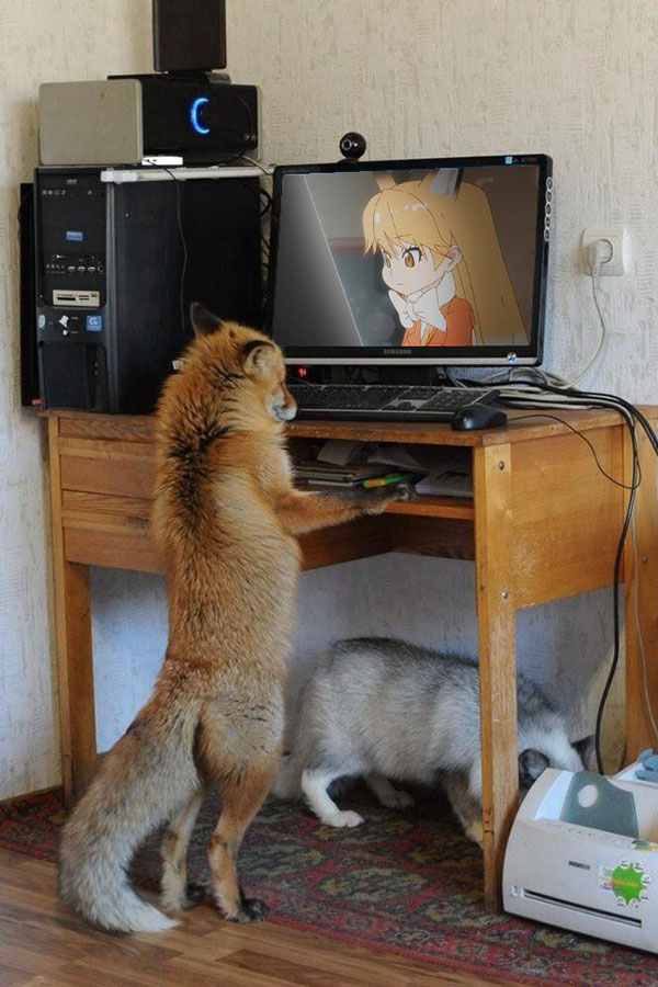 Юмор про игры, компьютеры, геймеров, ITшников и программистов