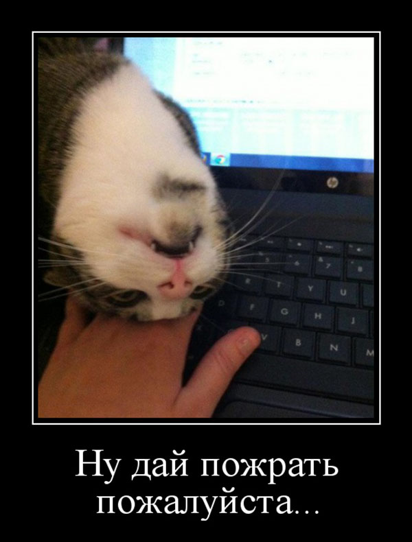 Юмор про игры, компьютеры, геймеров, ITшников и программистов