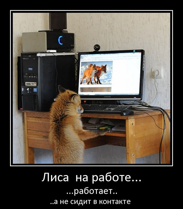 Юмор про игры, компьютеры, геймеров, ITшников и программистов