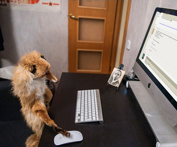 Юмор про игры, компьютеры, геймеров, ITшников и программистов