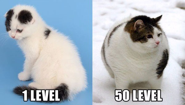 Юмор про игры, компьютеры, геймеров, ITшников и программистов