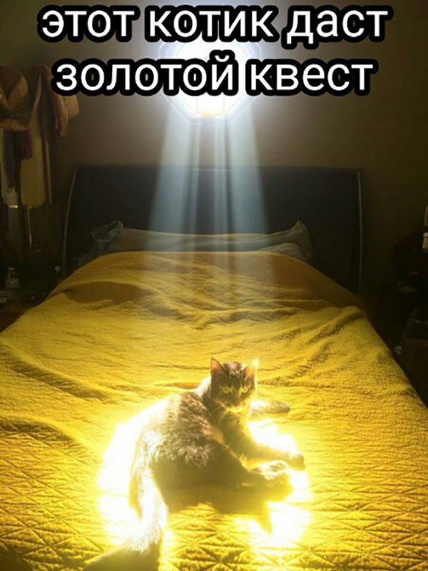 Юмор про игры, компьютеры, геймеров, ITшников и программистов