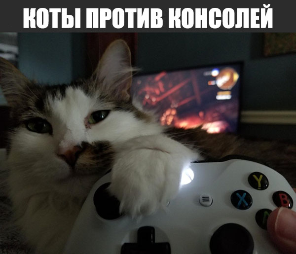 Юмор про игры, компьютеры, геймеров, ITшников и программистов