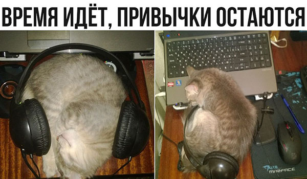 Юмор про игры, компьютеры, геймеров, ITшников и программистов