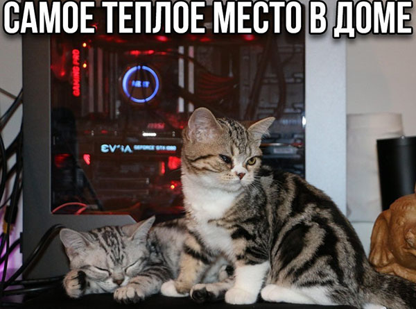 Юмор про игры, компьютеры, геймеров, ITшников и программистов