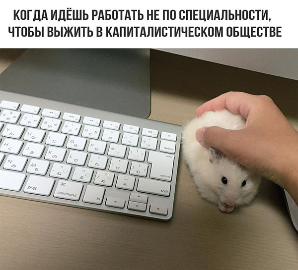 Юмор про игры, компьютеры, геймеров, ITшников и программистов