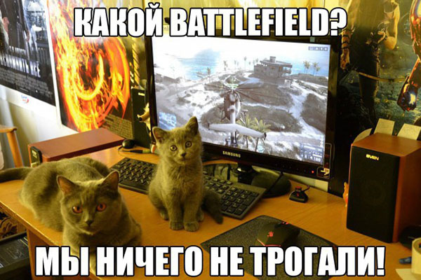 Мы ничего не трогали