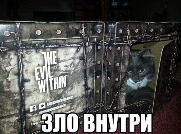 Коты-геймеры