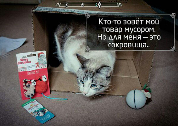 Коты-геймеры