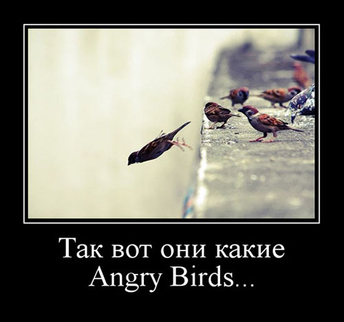 Angry Birds