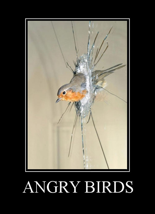 Angry Birds