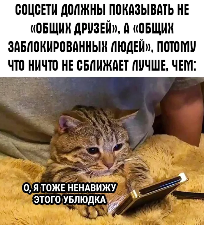 Смешные картинки и мемы про компьютеры, соцсети, ITшников и программистов Смешные картинки и мемы про компьютеры, соцсети, ITшников и программистов