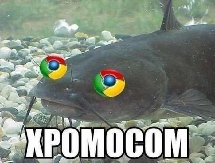 Смешные картинки и мемы про компьютеры, соцсети, ITшников и программистов Смешные картинки и мемы про компьютеры, соцсети, ITшников и программистов