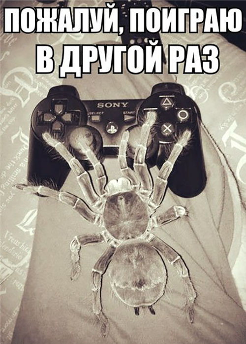 Пожалуй, поиграю в другой раз