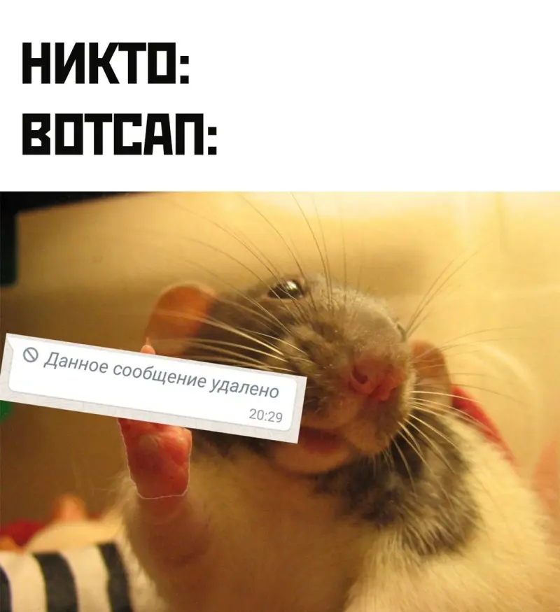 Смешные картинки и мемы про компьютеры, соцсети, ITшников и программистов Смешные картинки и мемы про компьютеры, соцсети, ITшников и программистов