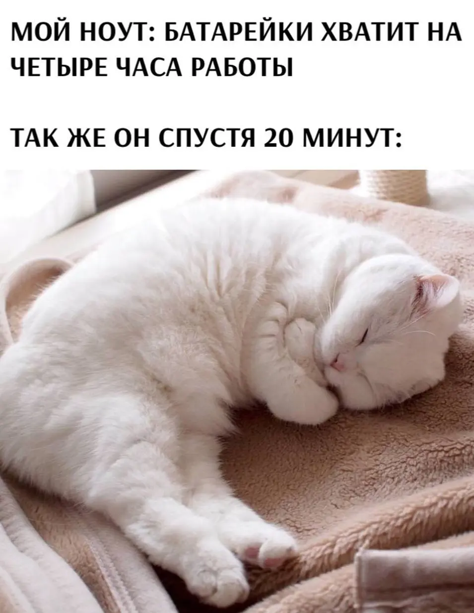 Смешные картинки и мемы про компьютеры, соцсети, ITшников и программистов Смешные картинки и мемы про компьютеры, соцсети, ITшников и программистов