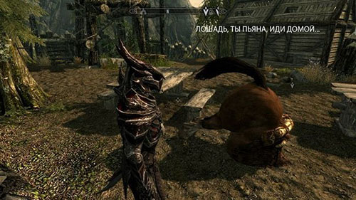 Лошадь, ты пьяна, иди домой