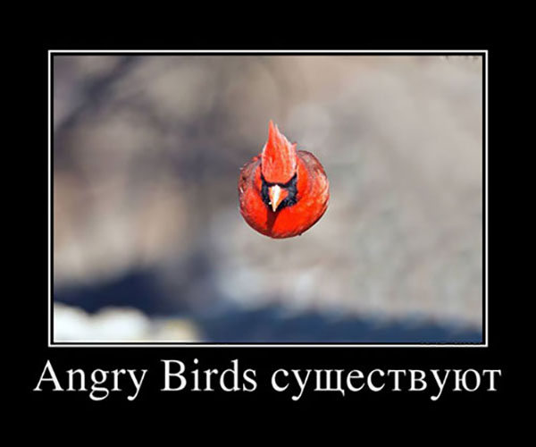 Демотиваторы про игры и геймеров