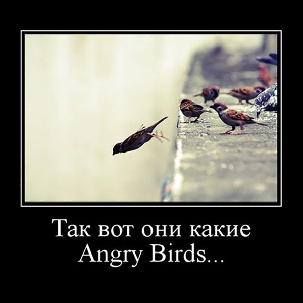 Демотиваторы про игры и геймеров