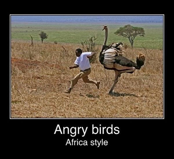 Демотиваторы про игры и геймеров