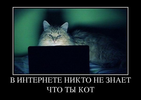 Демотиваторы про комьютеры, пользователей и программистов