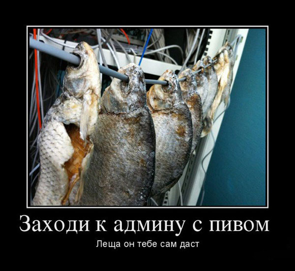 Демотиваторы про комьютеры, пользователей и программистов