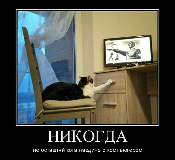 Демотиваторы про комьютеры, пользователей и программистов
