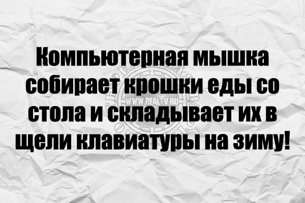 Цитаты и шутки на IT тематику