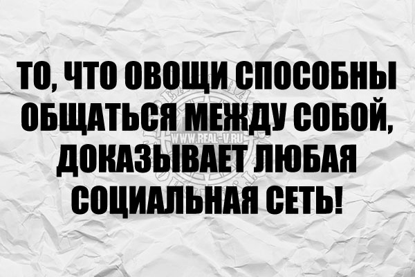 Цитаты и шутки на IT тематику