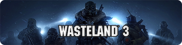Wasteland 3