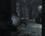 Dark Sector