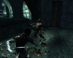 Dark Sector