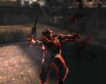 Dark Sector