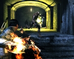 Dark Sector