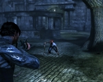 Dark Sector
