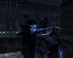 Dark Sector