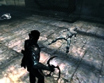 Dark Sector