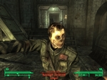 Fallout 3